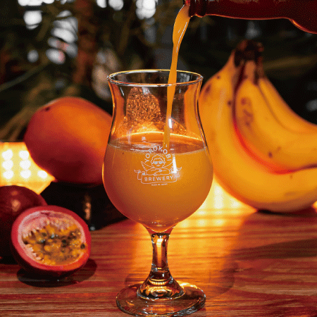 【完売】ENDLESS PARADE - Smoothie Sour Ale